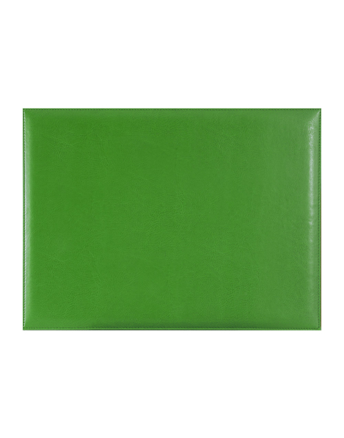 4210MS25_A.jpg